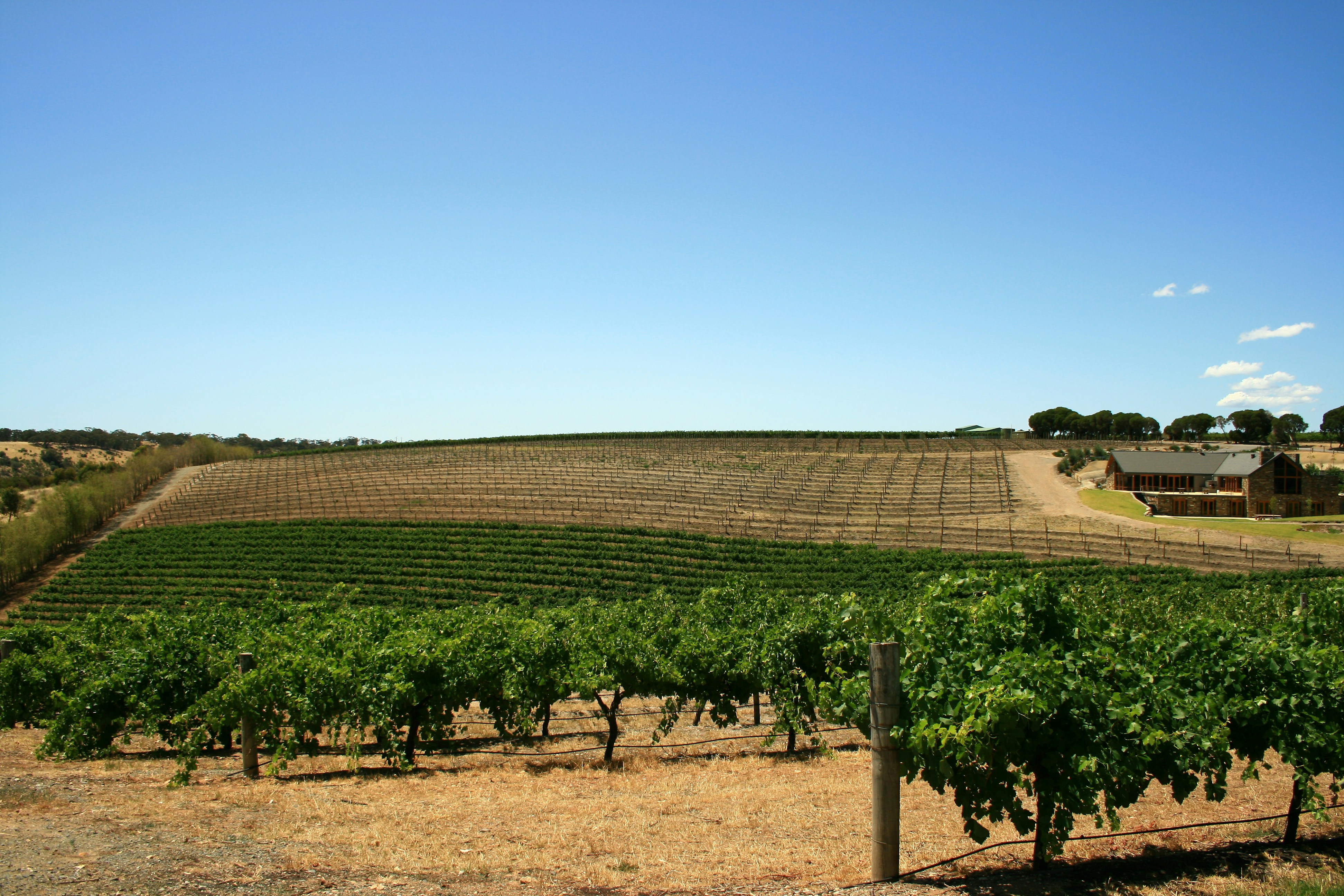 South Australia 1